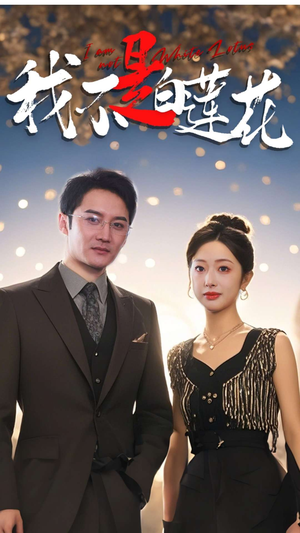 我不是白莲花(78集) 我不是白莲花(78集)全集一网打尽