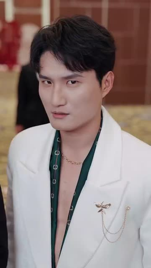 隐龙老爸风华绝代(64集) 隐龙老爸风华绝代(64集)短剧免费观看