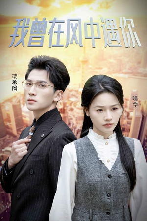 我曾在风中遇你(30集) 我曾在风中遇你(30集)一起看短剧