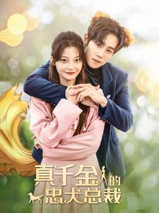 真千金的忠犬总裁（74集）精彩短剧随心推