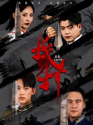 找打(60集) 找打(60集)免费版