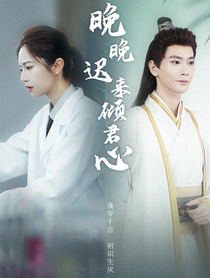 晚晚迟来倾君心（83集）短剧分享剧集