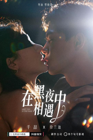 在黑夜中相遇(32集) 在黑夜中相遇(32集)免费观看完整版