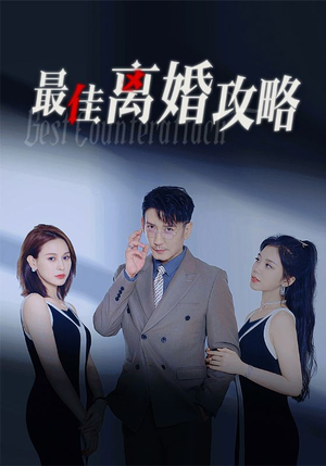 最佳离婚攻略(31集) 最佳离婚攻略(31集)全集一次看完