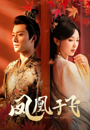 凤凰于飞(79集) 凤凰于飞(79集)免费短剧资源