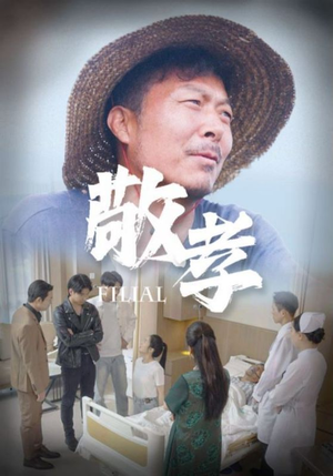 敬孝(61集) 敬孝(61集)在线免费观影