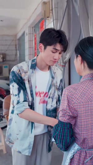 平安归来（36集）短剧全集免费看