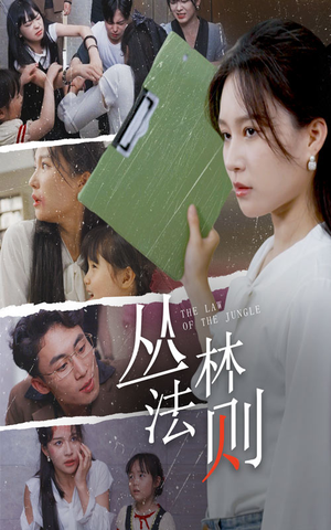 丛林法则（29集）在线观看