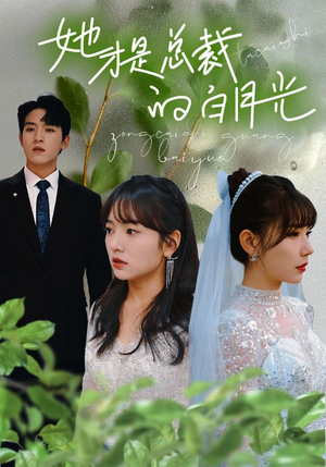 她才是总裁的白月光(90集) 她才是总裁的白月光(90集)在哪里看