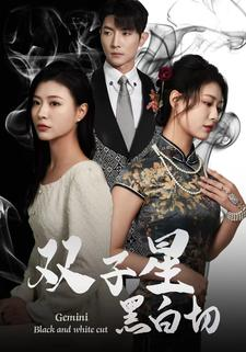 双子星黑白切（82集）高质量短剧推荐