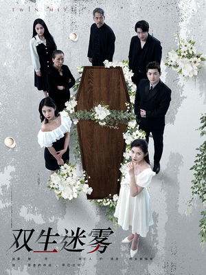 双生迷雾(80集) 双生迷雾(80集)短剧解说热门