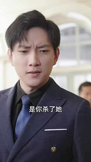 新版：镇国龙帅（102集）真的太精彩了