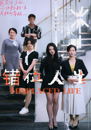 错位人生（89集）超好看古装短剧