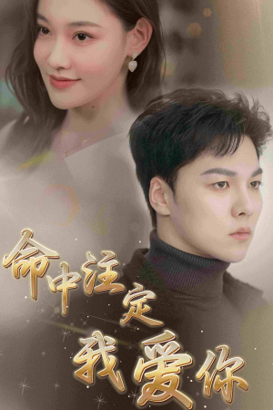 命中注定我爱你（75集）全集免费