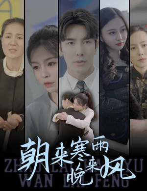 朝来寒雨晚来风（87集）大结局一气呵成