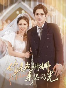 你是我姗姗来迟的光(99集) 你是我姗姗来迟的光(99集)红果免费看短剧