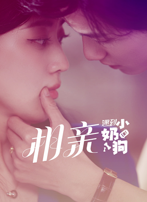 相亲遇到小奶狗（80集）爆款热门短剧