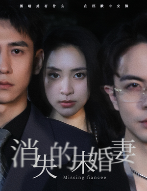 消失的未婚妻(82集) 消失的未婚妻(82集)在哪里看