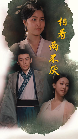 相看两不厌(85集) 相看两不厌(85集)好看短剧看不停