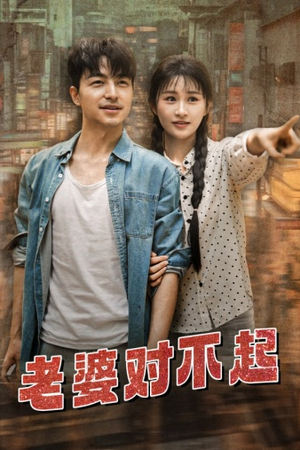 老婆对不起（81集）真的好看吗