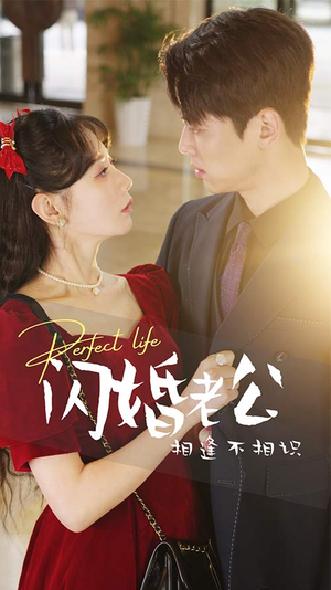 闪婚老公相逢不相识（90集）短剧全集大结局