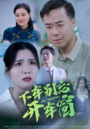 50.下车别忘开车窗（59集）独家资源免费看