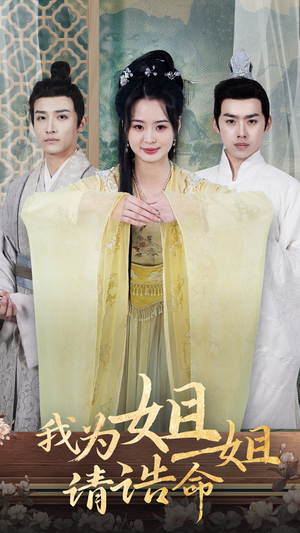我为姐姐请诰命（65集）口碑之选免费看