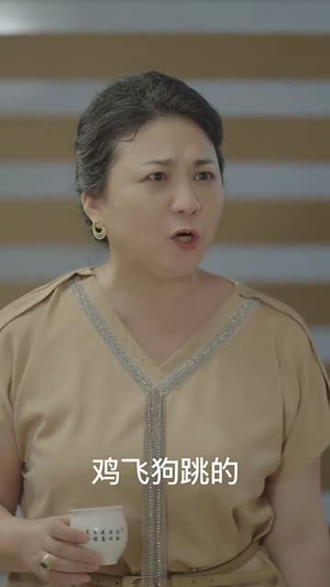 插翅难飞 (30集) 插翅难飞 (30集)在哪里可以看