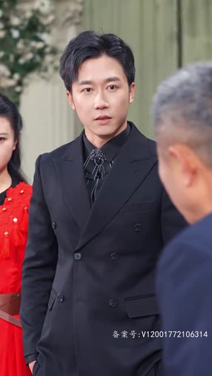 隐龙觉醒（84集）百度在线观看