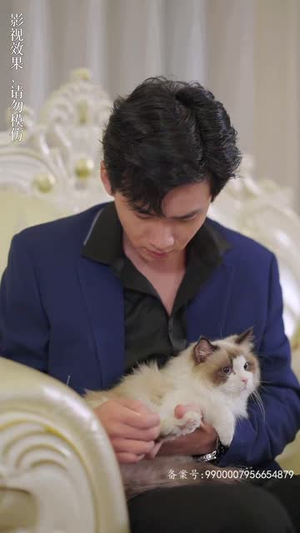 变成猫后我被死对头宠上天(86集) 变成猫后我被死对头宠上天(86集)快来看短剧