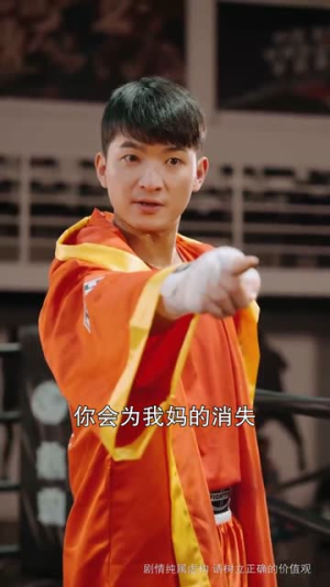 我不是拳王(73集) 我不是拳王(73集)热门短剧排行榜