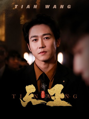 5天王（100集）免费看短剧全集