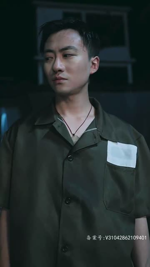 隐世医仙（95集）短剧看全集