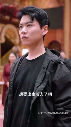 潜龙出山之我为王(100集) 潜龙出山之我为王(100集)精彩短剧追不停