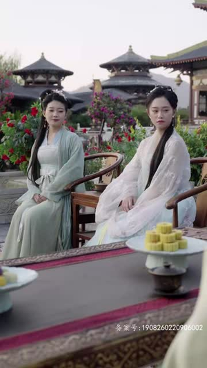 凤掌九天(100集) 凤掌九天(100集)流畅播放免费看