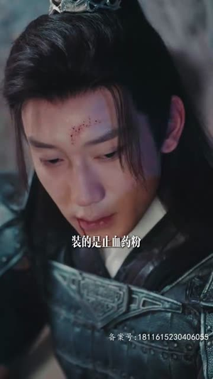 轮回（100集）看到大结局