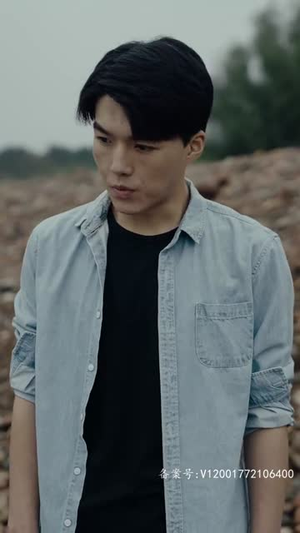 浴火重生（39集）红果免费短剧