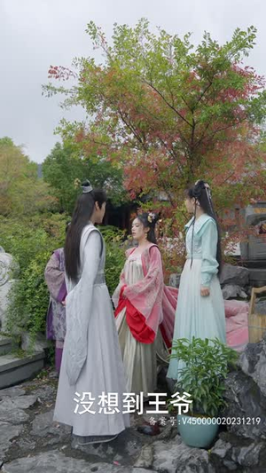 腹黑王爷的千金丫鬟（94集）追风的女孩短剧