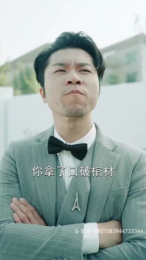 追龙之罪与罚（100集）超好看短剧推荐