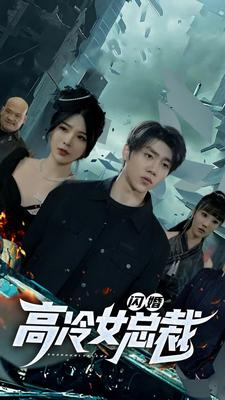 闪婚高冷女总裁（100集）追短剧关注我