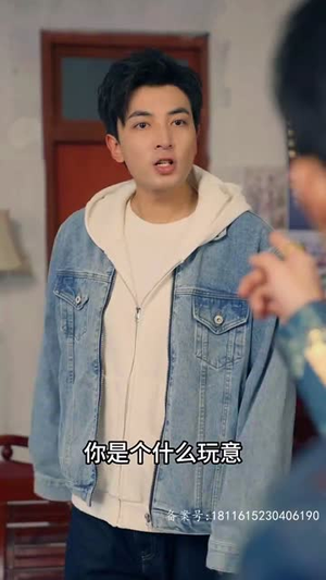 繁花1997（85集）全集免费