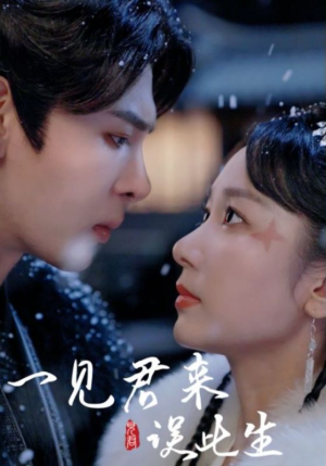 一见君来误此生(95集) 一见君来误此生(95集)短剧片段推荐