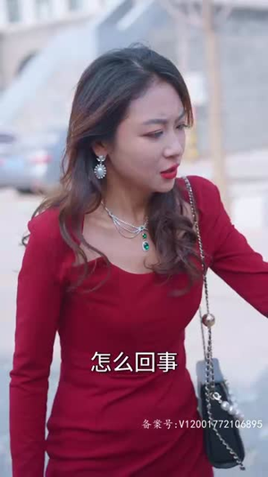 世仁之重回巅峰(91集) 世仁之重回巅峰(91集)在线看免费版