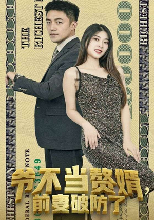 爷不当赘婿，前妻破防了（80集）精彩好看短剧