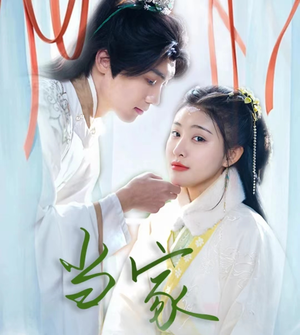 傻子王爷娇宠妃&当家（50集）免费在线看全集