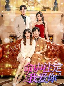 命中注定我爱你(99集) 命中注定我爱你(99集)精彩短剧片段