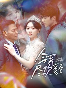 今宵尽欢颜（99集）红果免费看短剧