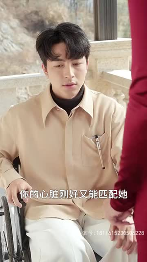 天王巨星（73集）爆款短剧追不停