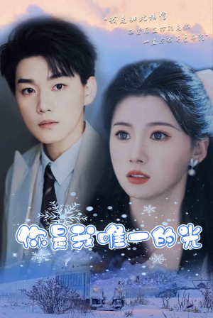 你是我唯一的光（95集）剧情简介