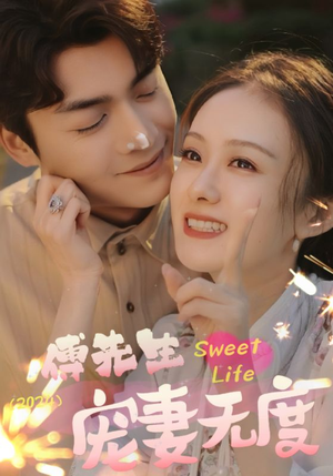 傅先生宠妻无度（94集）评价怎么样